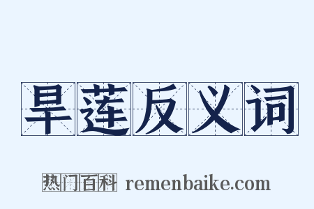 旱莲反义词是什么意思的图片